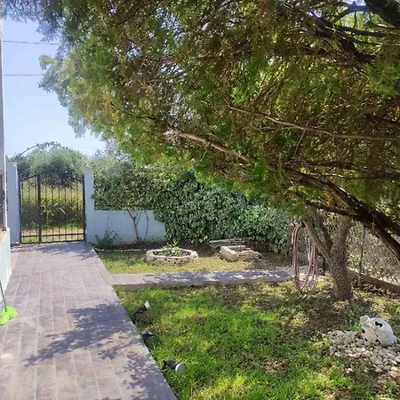 Olive Tree House * Sozopoli