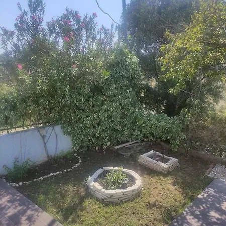 Case de vacanță Olive Tree House *