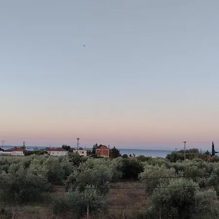 Case de vacanță Olive Tree House *