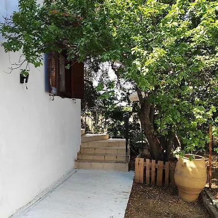 Case de vacanță Olive Tree House Sozopoli