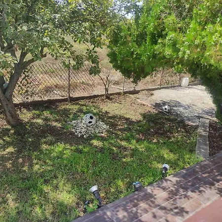 Olive Tree House Sozopoli
